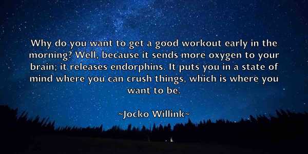 /images/quoteimage/jocko-willink-397601.jpg