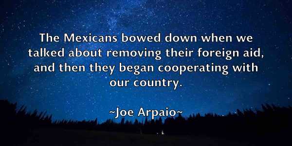 /images/quoteimage/joe-arpaio-398176.jpg