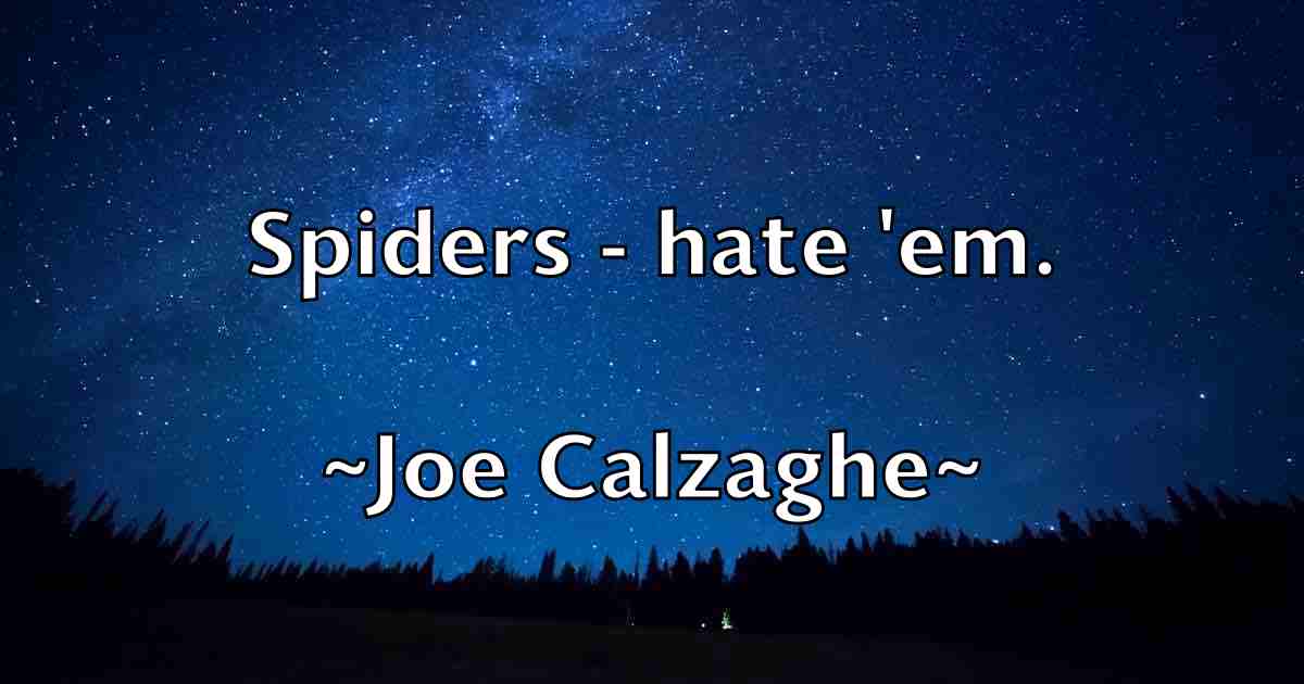 /images/quoteimage/joe-calzaghe-fb-398781.jpg