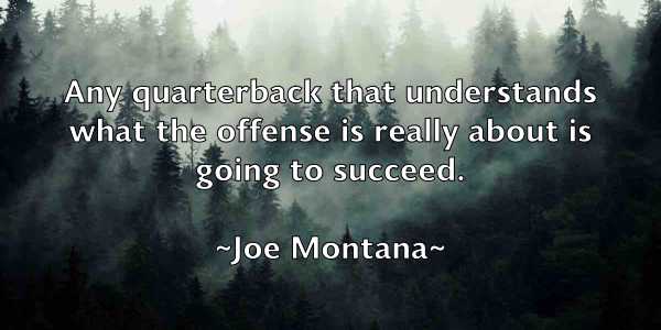 /images/quoteimage/joe-montana-400702.jpg