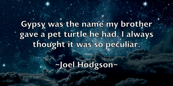 /images/quoteimage/joel-hodgson-402804.jpg