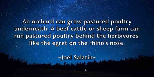 /images/quoteimage/joel-salatin-403311.jpg