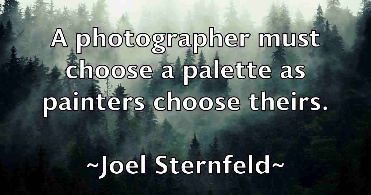 /images/quoteimage/joel-sternfeld-fb-403438.jpg