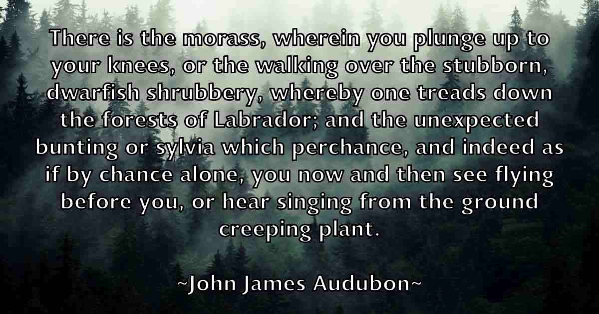 /images/quoteimage/john-james-audubon-fb-412864.jpg