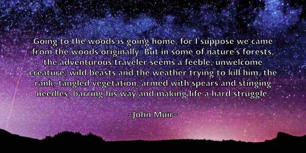 /images/quoteimage/john-muir-417142.jpg