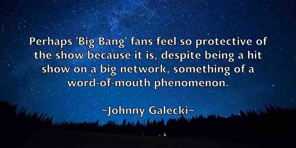 /images/quoteimage/johnny-galecki-423318.jpg