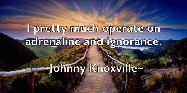 /images/quoteimage/johnny-knoxville-423526.jpg