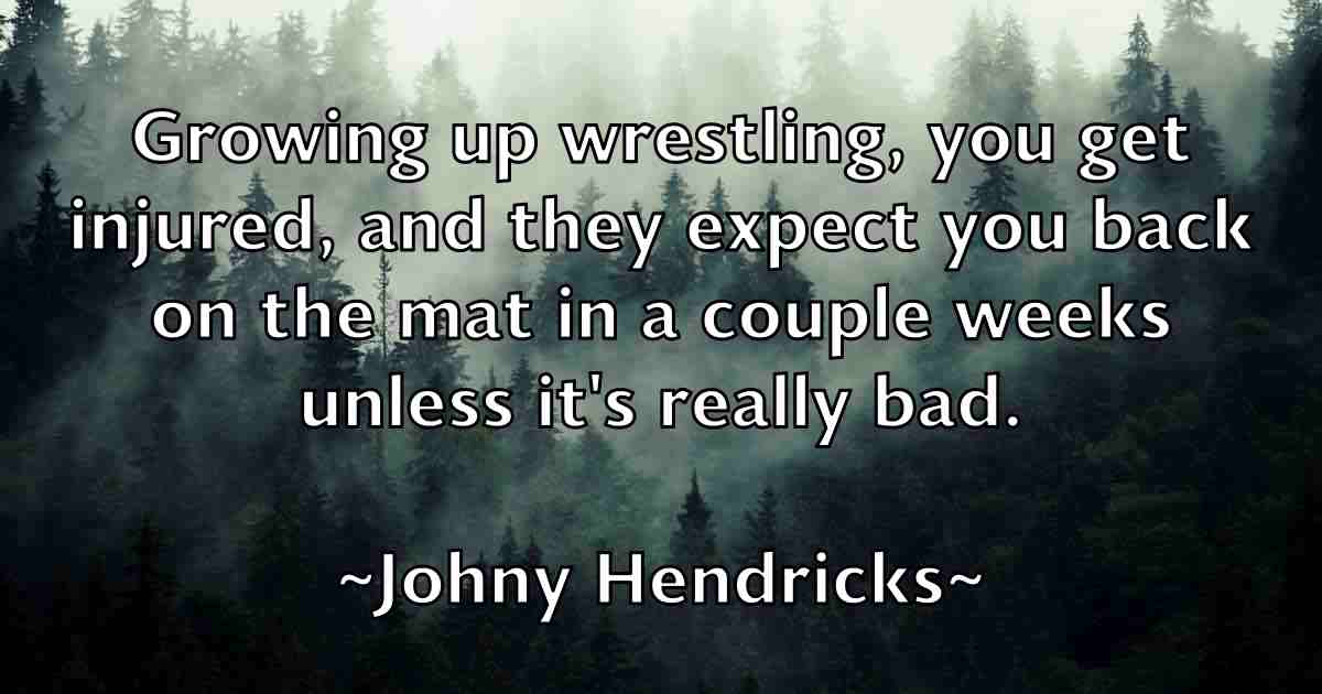 /images/quoteimage/johny-hendricks-fb-424284.jpg