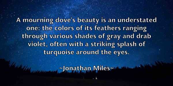 /images/quoteimage/jonathan-miles-428511.jpg