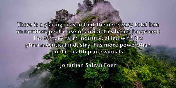 /images/quoteimage/jonathan-safran-foer-428895.jpg