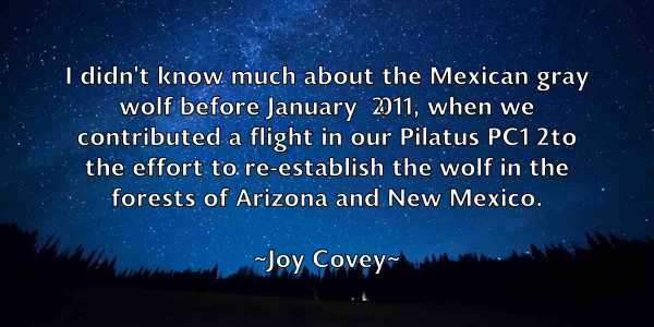 /images/quoteimage/joy-covey-437589.jpg