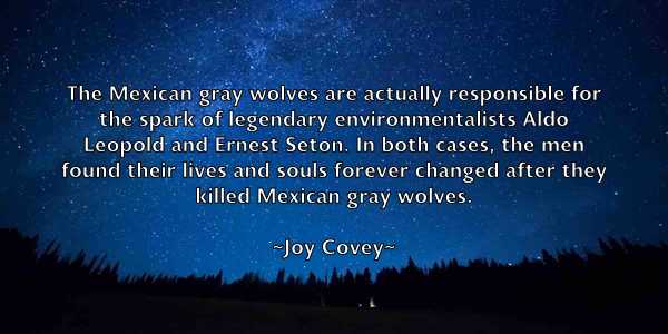 /images/quoteimage/joy-covey-437592.jpg