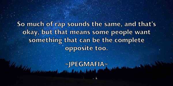 /images/quoteimage/jpegmafia-jpegmafia-438536.jpg