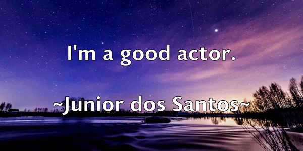 /images/quoteimage/junior-dos-santos-445501.jpg