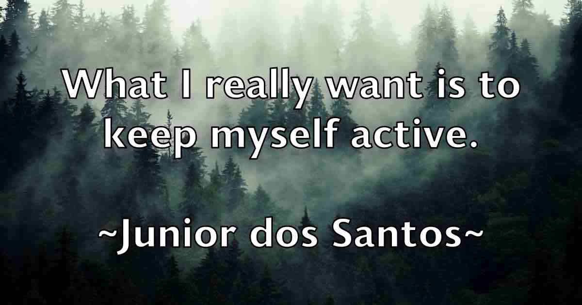 /images/quoteimage/junior-dos-santos-fb-445540.jpg