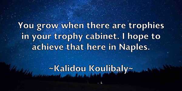 /images/quoteimage/kalidou-koulibaly-449178.jpg