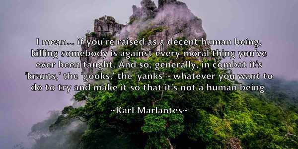 /images/quoteimage/karl-marlantes-453025.jpg