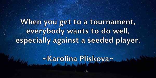 /images/quoteimage/karolina-pliskova-453776.jpg