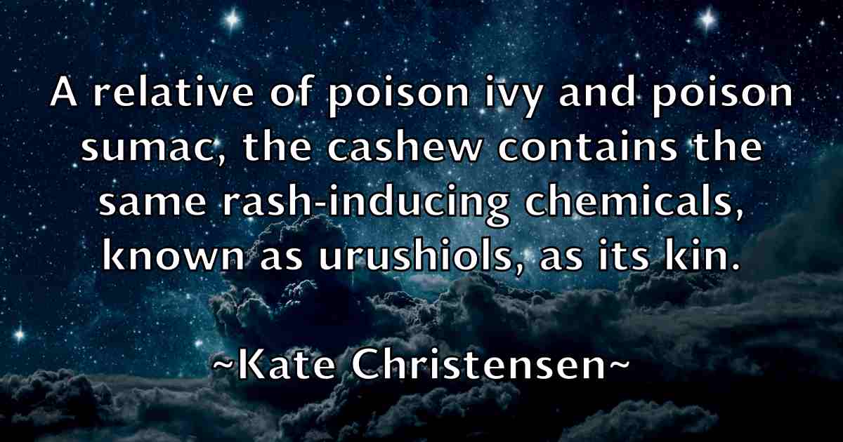 /images/quoteimage/kate-christensen-fb-455564.jpg