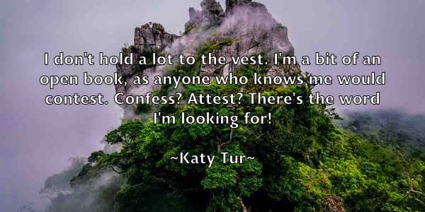 /images/quoteimage/katy-tur-461505.jpg