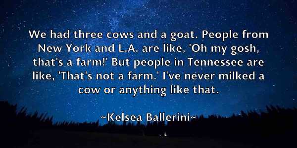 /images/quoteimage/kelsea-ballerini-465400.jpg