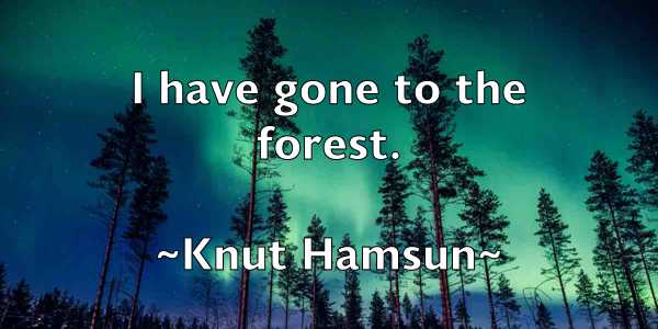 /images/quoteimage/knut-hamsun-479878.jpg