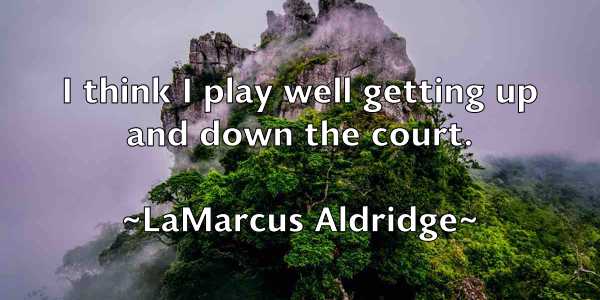 /images/quoteimage/lamarcus-aldridge-487840.jpg