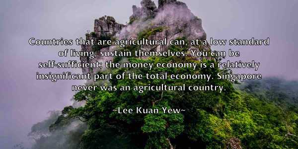 /images/quoteimage/lee-kuan-yew-497402.jpg