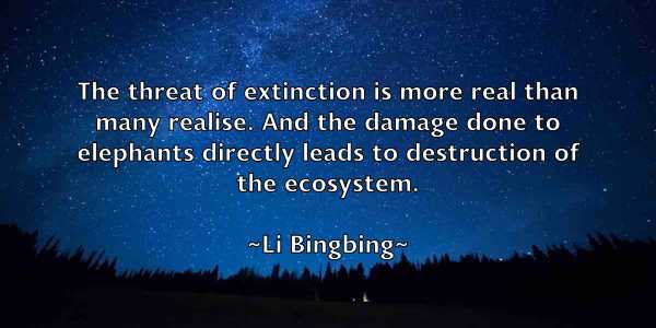 /images/quoteimage/li-bingbing-504373.jpg
