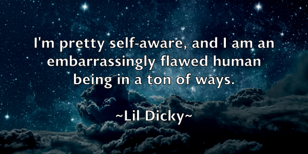 /images/quoteimage/lil-dicky-505554.jpg