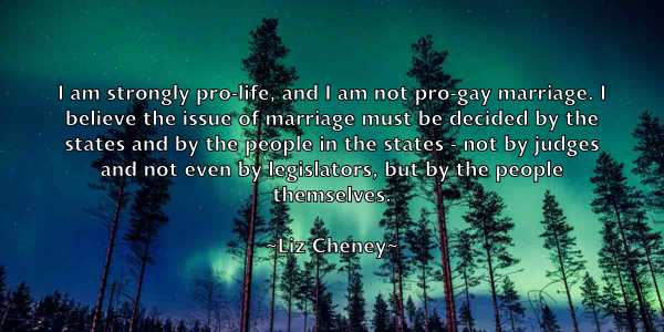 /images/quoteimage/liz-cheney-511705.jpg