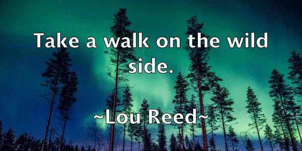 /images/quoteimage/lou-reed-515412.jpg