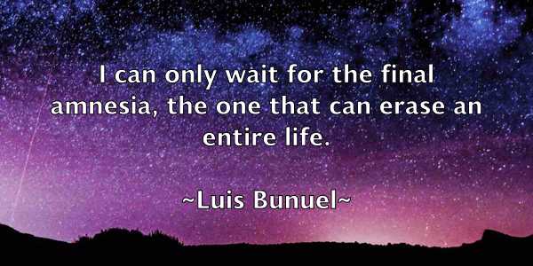/images/quoteimage/luis-bunuel-519644.jpg