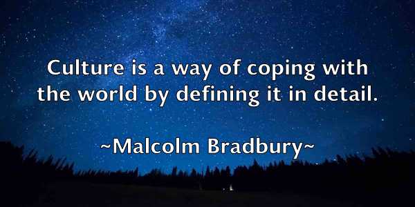 /images/quoteimage/malcolm-bradbury-529301.jpg