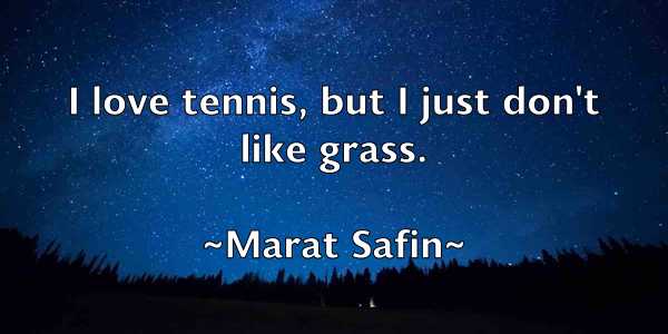 /images/quoteimage/marat-safin-532436.jpg