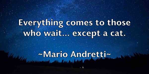 /images/quoteimage/mario-andretti-541444.jpg