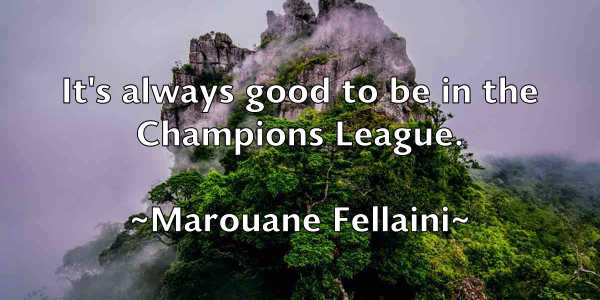 /images/quoteimage/marouane-fellaini-548408.jpg