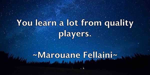 /images/quoteimage/marouane-fellaini-548424.jpg