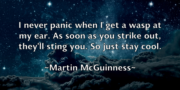 /images/quoteimage/martin-mcguinness-551670.jpg