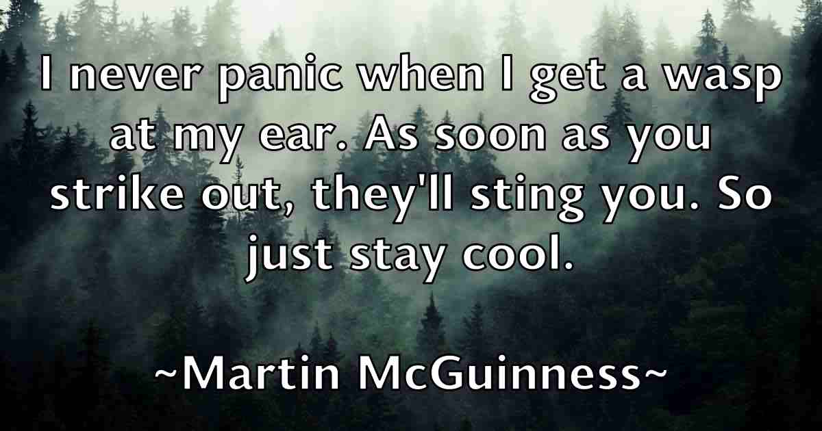 /images/quoteimage/martin-mcguinness-fb-551670.jpg