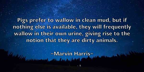 /images/quoteimage/marvin-harris-553206.jpg