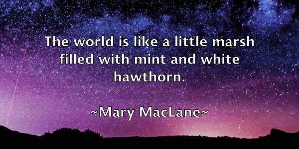 /images/quoteimage/mary-maclane-555121.jpg