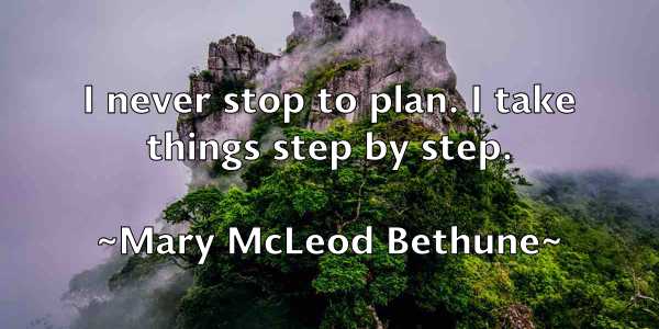 /images/quoteimage/mary-mcleod-bethune-555248.jpg