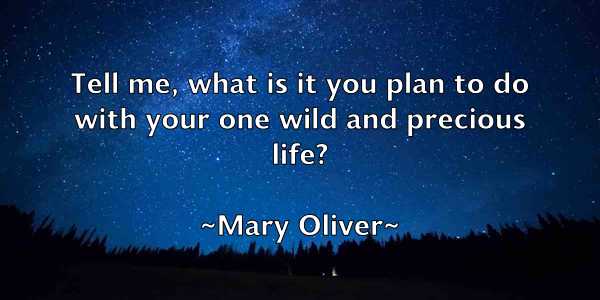 /images/quoteimage/mary-oliver-555272.jpg