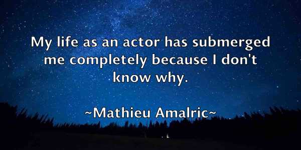 /images/quoteimage/mathieu-amalric-557617.jpg