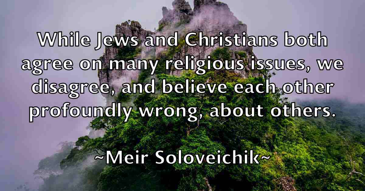 /images/quoteimage/meir-soloveichik-fb-568628.jpg