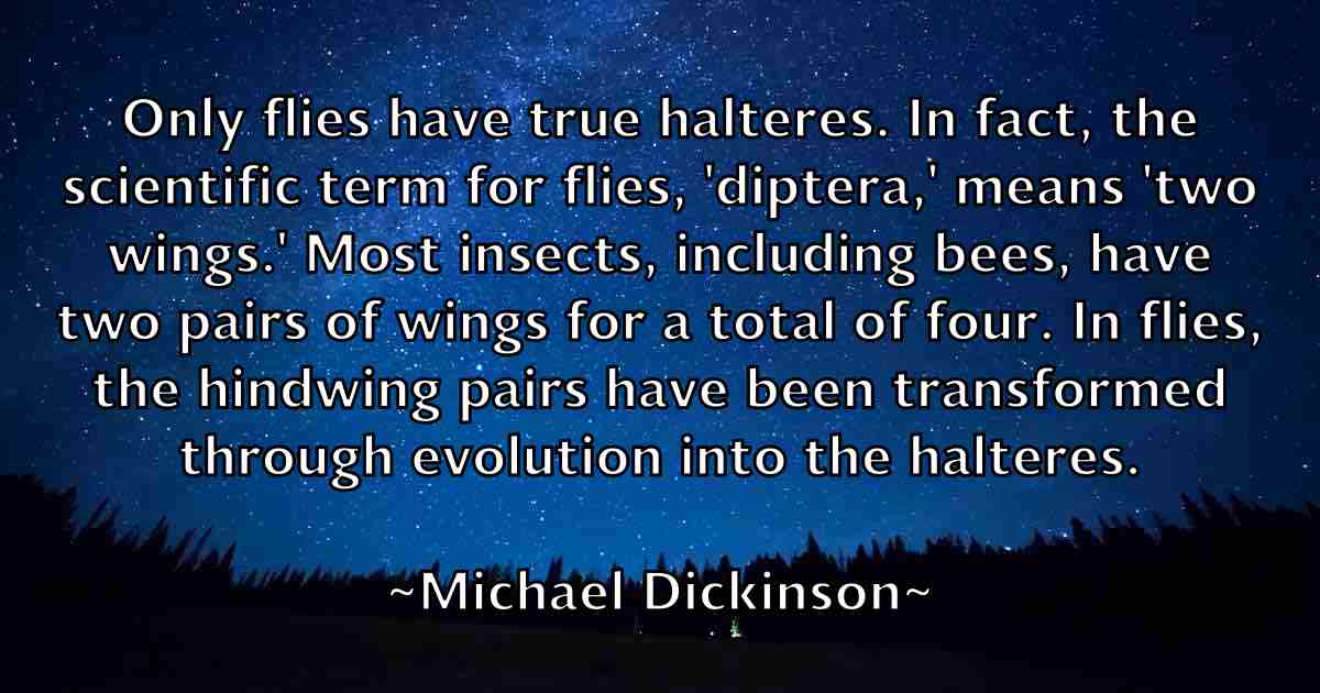 /images/quoteimage/michael-dickinson-fb-574299.jpg