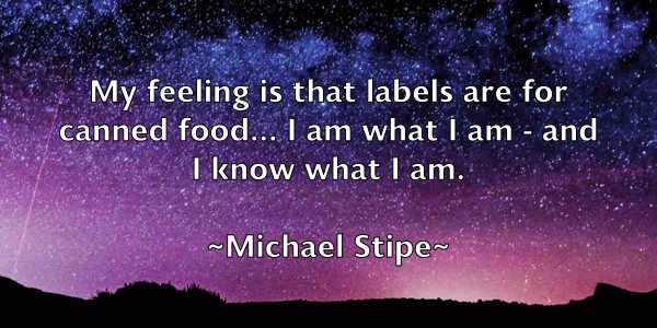 /images/quoteimage/michael-stipe-580809.jpg