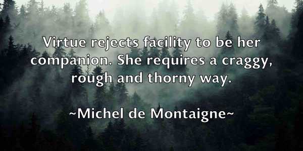 /images/quoteimage/michel-de-montaigne-581839.jpg