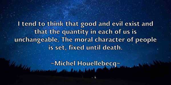 /images/quoteimage/michel-houellebecq-582038.jpg